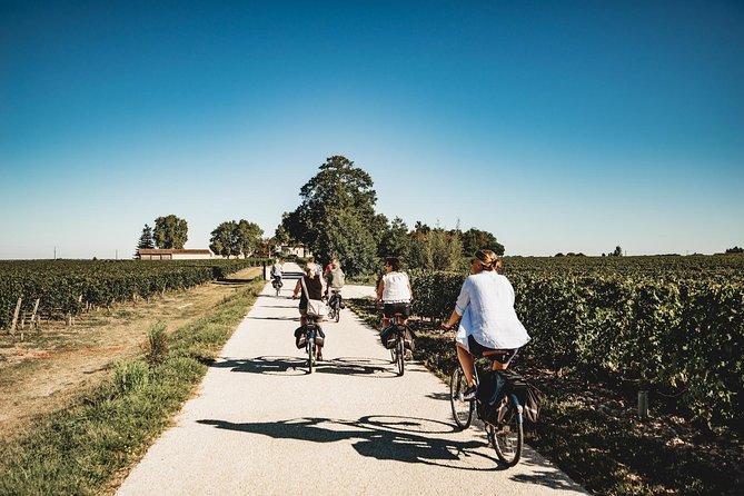 From Saint-Emilion : Electric Bike Day Tour with Wine Tastings and Picnic Lunch - Key Highlights Worth Planning Around