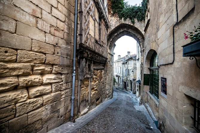 From Saint-Emilion : Electric Bike Day Tour with Wine Tastings and Picnic Lunch - Price and What You Actually Get for $205.67