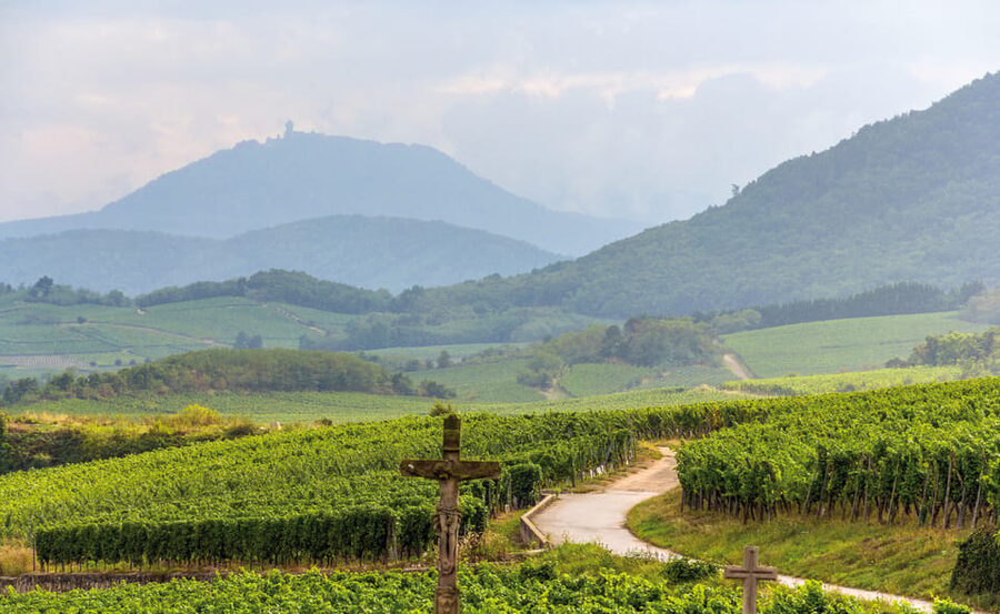 From Strasbourg: Full-Day Highlights of the Alsace Tour - Pace and comfort: how to get through 8 hours without hating your shoes