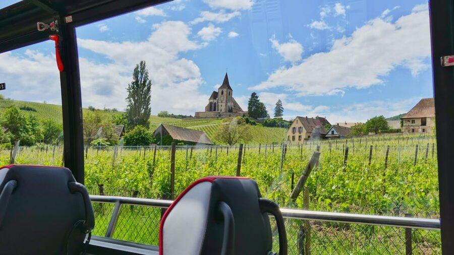From Strasbourg: Medieval Villages & Wine Tasting Day Trip - Price and Logistics: Is This $147 Day Trip Good Value?