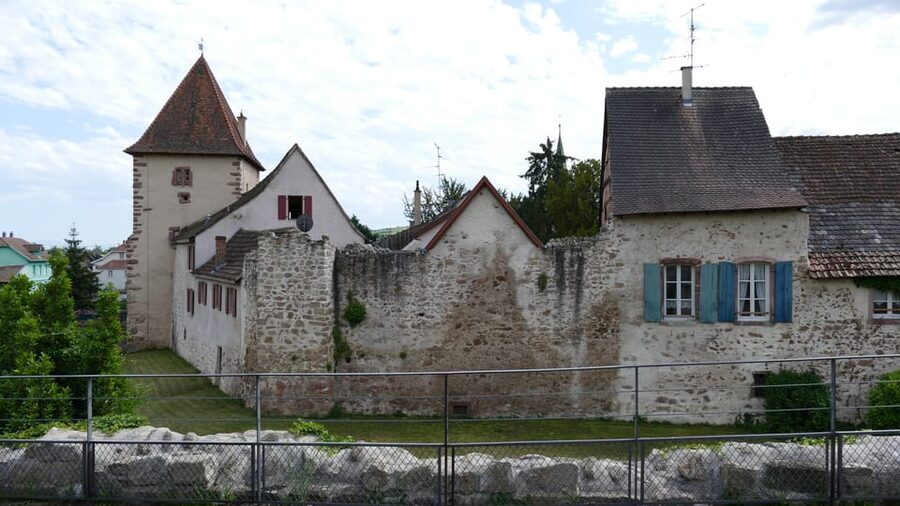 From Strasbourg: Medieval Villages & Wine Tasting Day Trip - Riquewihr Lunch and Vineyard Heart: Where the Time Counts