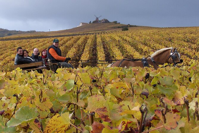 Full Day All-inclusive Tour in Champagne from Paris in a Minivan - Key Things That Make This Champagne Tour Worth Your Time