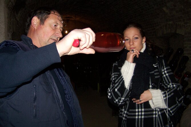 Full Day All-inclusive Tour in Champagne from Paris in a Minivan - Pommery Estate and the Chalk Pits: The Finale That People Remember