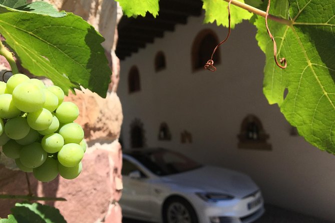 FULL DAY ALSACE PRIVATE TOUR : Tailored by your Friendly Driver - Eguisheim: A Slower Village Stop, With Real Flexibility