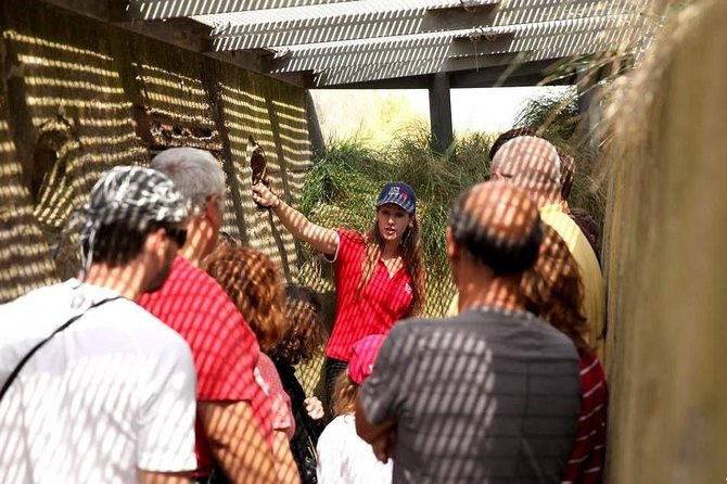 Full-Day Canadian Battlefields & sites Normandy Tour from Bayeux - The Juno Beach Centre: museum time that changes how you see the sand