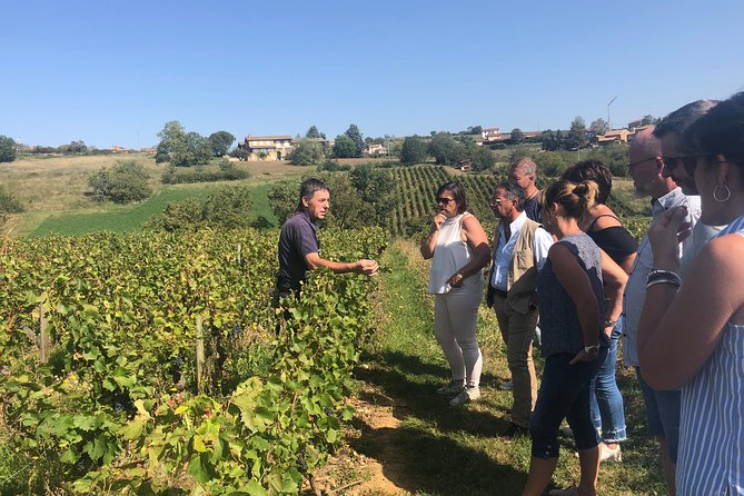 Golden stones Beaujolais Wine Tour with Tastings from Lyon - From Place Bellecour to Beaujolais: The Easy Rhythm of a 4-Hour Escape