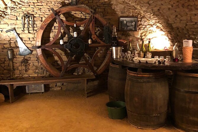Golden stones Beaujolais Wine Tour with Tastings from Lyon - Family Winery in Beaujolais: Meeting the Winemaker and Tasting Estate Wines