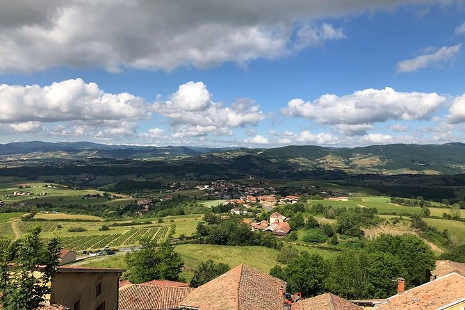 Golden stones Beaujolais Wine Tour with Tastings from Lyon - What the Included Food and Wine Pairings Mean for You