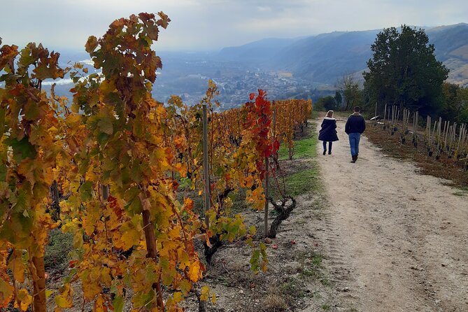 Guided tour and wine tasting Northern Rhône Valley - Key highlights (what makes this tour worth your time)