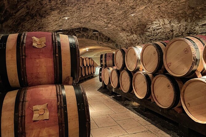 Guided tour and wine tasting Northern Rhône Valley - Condrieu Stop: Steep Slopes, Village Views, and a Scenic Reset