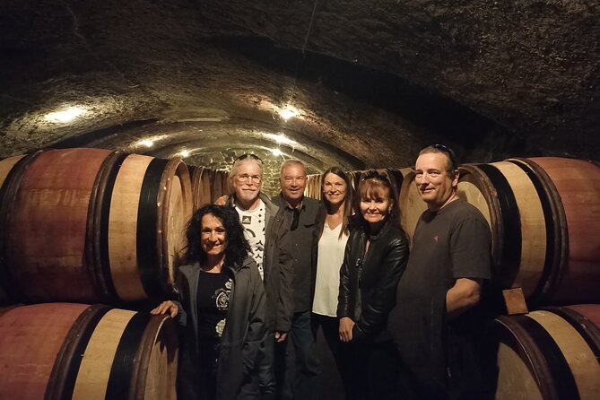 Guided tour and wine tasting Northern Rhône Valley - Ampuis Estate Tasting: Second Location, Same Range, New Perspective