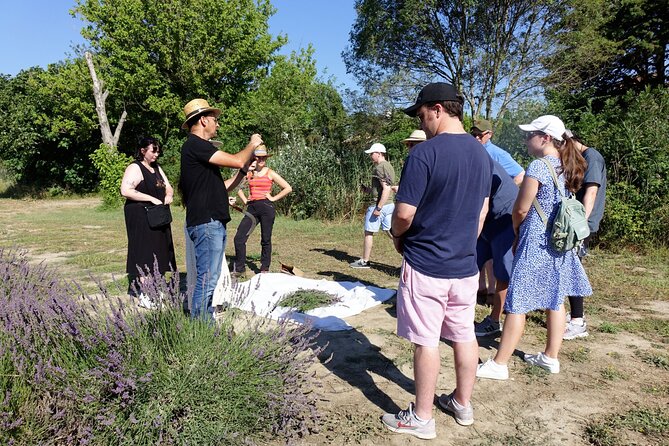 Guided tour Distillery of Lavender between Nîmes & Arles - Shop smarter: using the personalized advice after the distillery