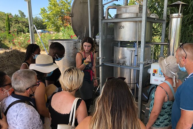 Guided tour Distillery of Lavender between Nîmes & Arles - Weather matters, and so does how you pack