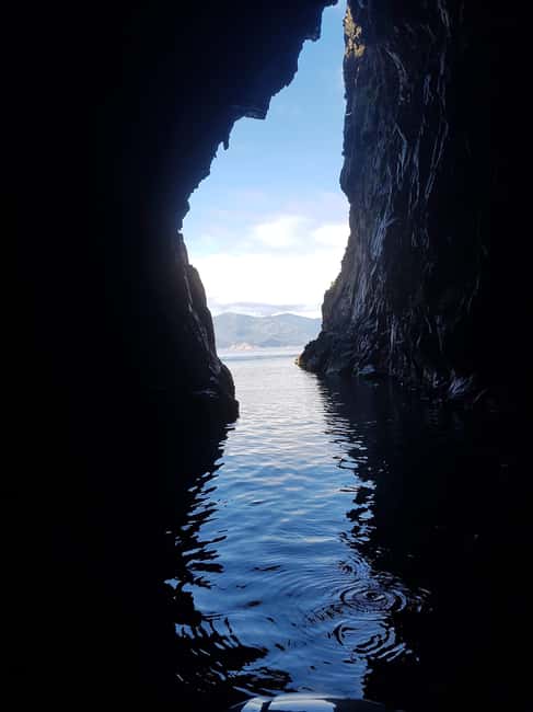 Gulf of Porto: Visit the Calanques de Piana and/or Scandola Reserve - Key moments you should care about