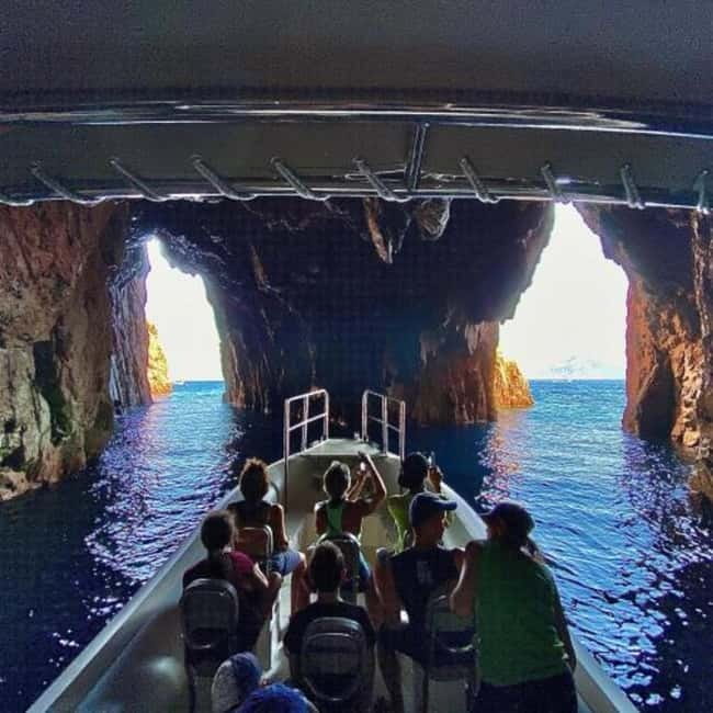 Gulf of Porto: Visit the Calanques de Piana and/or Scandola Reserve - Scandola Nature Reserve: UNESCO coastline and marine life you can spot