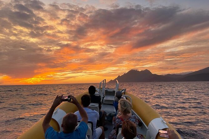 Half Day Boat Trip to Scandola Calanche de Piana - Who this half-day boat trip suits, and who should think twice