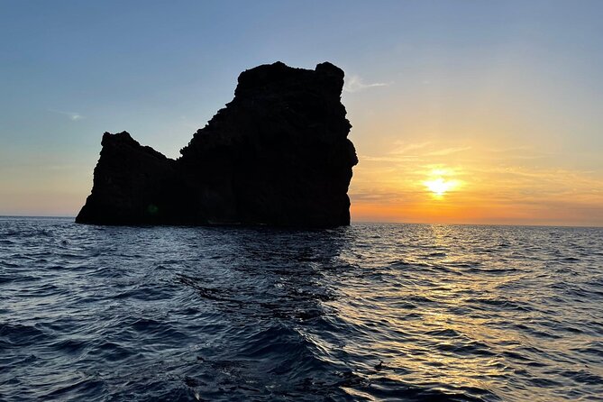 Half Day Boat Trip to Scandola Calanche de Piana - Should you book this boat trip to Scandola and Calanche de Piana?