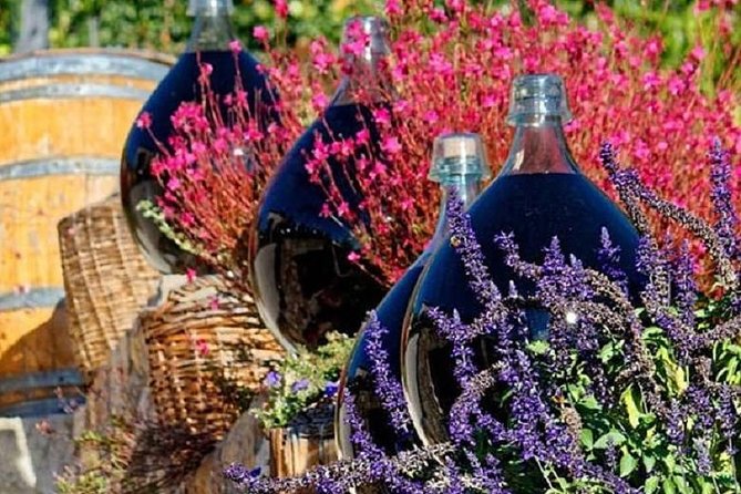 Half-Day Wine Tasting and Saint Paul de Vence Tour from Nice - When Saint-Paul-de-Vence Changes: The Tour Plan B Reality