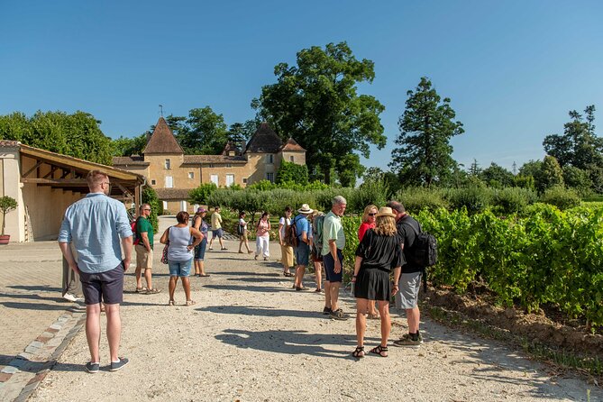 Half-Day Wine tour across Bordeaux’s Vineyards - Key highlights at a glance
