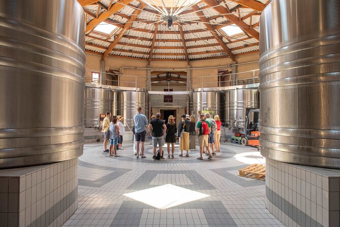 Half-Day Wine tour across Bordeaux’s Vineyards - A Bordeaux half-day that fits real sightseeing