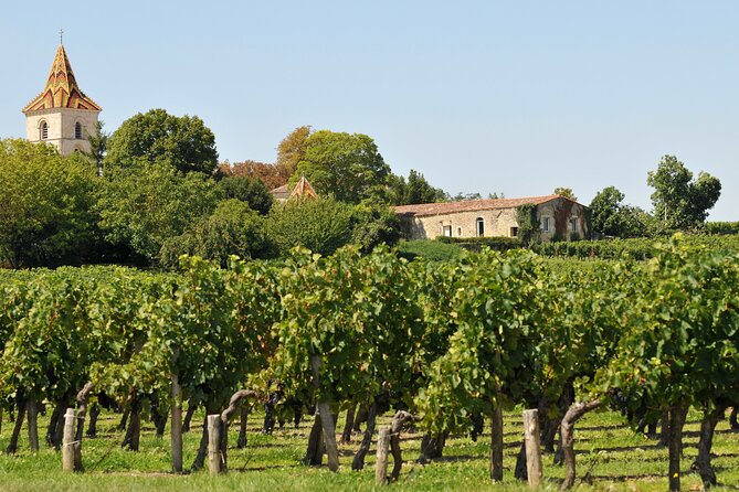 Half-Day Wine tour across Bordeaux’s Vineyards - Wine tasting reality check: what you actually get for $70-ish