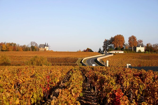 Half-Day Wine tour across Bordeaux’s Vineyards - Appellations you might visit (and why that matters)