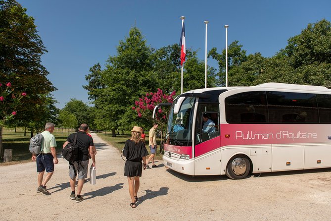 Half-Day Wine tour across Bordeaux’s Vineyards - Group size and bilingual pacing: when it helps, when it annoys