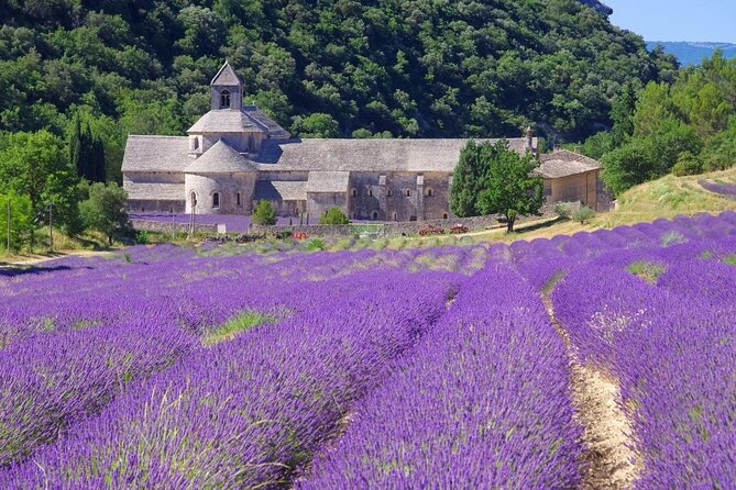 Highlights of Provence in one day - Fontaine de Vaucluse, Where the Water Actually Steals the Show