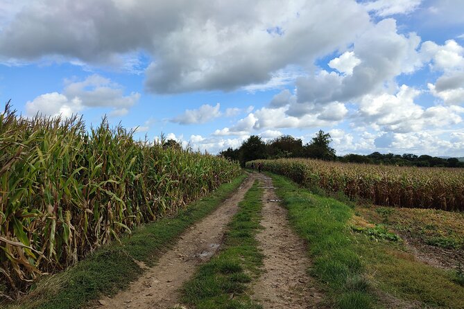 Hiking Adventure in Van Gogh's Footsteps with 6 miles walk - Included comforts: coffee, tea, and snacks along the way