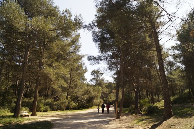 Hiking in the Calanques National park from Marseille - Price and Value: Is $42.34 Worth It for the Calanques Day?