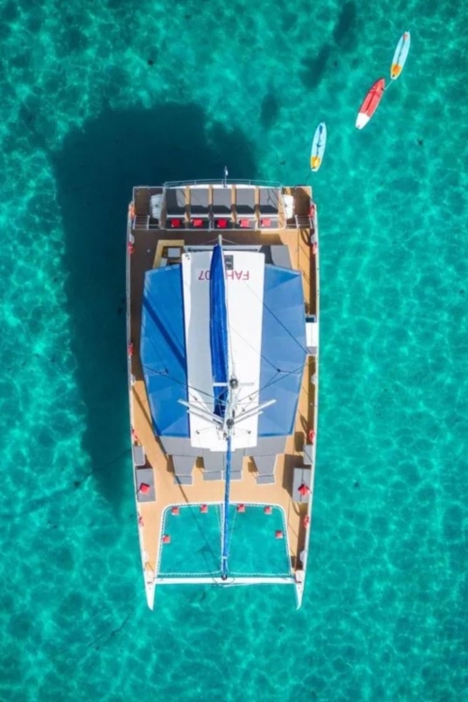 Hyères : Morning Discovery or Relaxing Afternoon cruise - Price and value: why $76 can feel fair, or frustrating