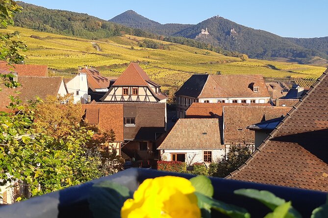 ICONICS Tour: 1/2 day on the Wine Route, visit of 2 Villages + Tasting. - Riquewihr: the most photogenic hour you’ll get