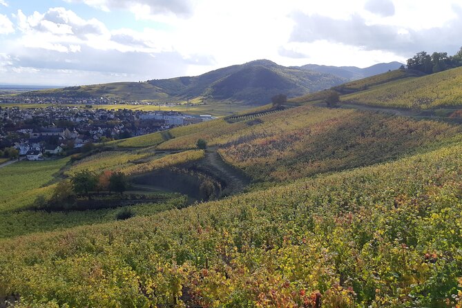 ICONICS Tour: 1/2 day on the Wine Route, visit of 2 Villages + Tasting. - What the tasting actually teaches you, not just what you drink