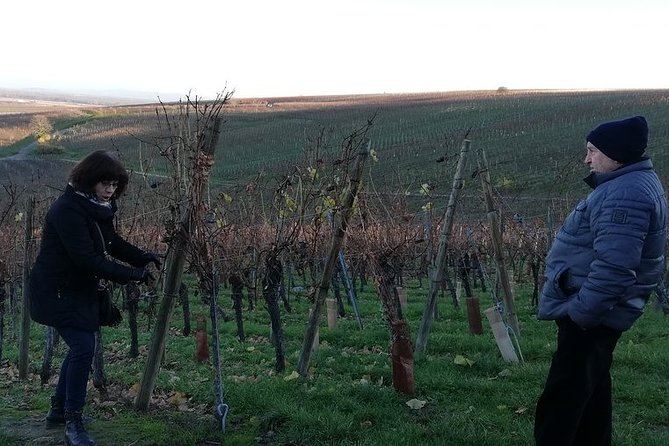 ICONICS Tour: 1/2 day on the Wine Route, visit of 2 Villages + Tasting. - Small-group comfort and a pace that doesn’t feel frantic