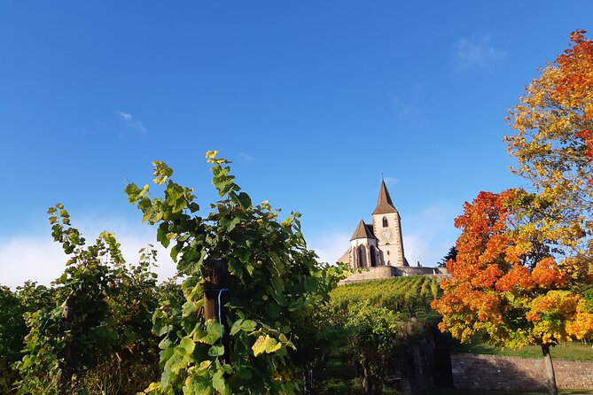 ICONICS Tour: 1/2 day on the Wine Route, visit of 2 Villages + Tasting. - Who this Alsace Safari wine-route tour is best for