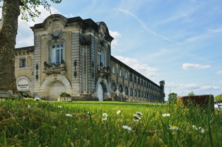 Jarnac: Braastad cognac discovery tour - Learning every step: vineyards to wine making to distillation