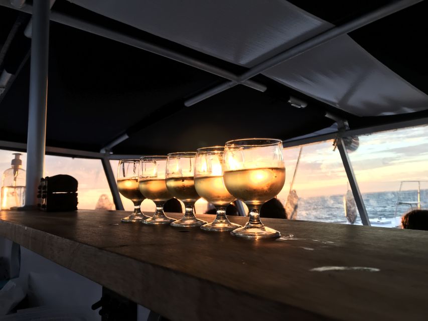 La Rochelle: Catamaran Cruise - Starting at the Historic Towers, Then Out to Les Minimes
