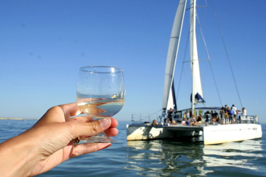 La Rochelle: Catamaran Cruise - Coastline Views You Will Want to Keep Looking At