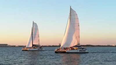 Catamaran Cruise