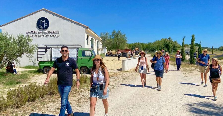 Lavender Field & Distillery Tour between Nimes & Arles - Highlights That Make This Lavender Tour Worth Your Time