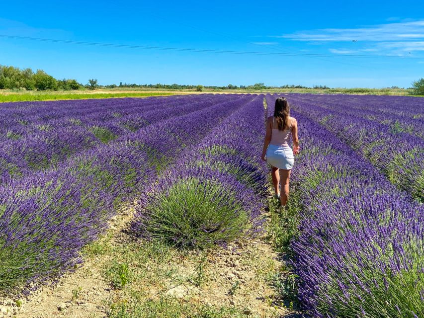 Lavender Field & Distillery Tour between Nimes & Arles - Price and Logistics: The Real Value of $9, and How to Get There