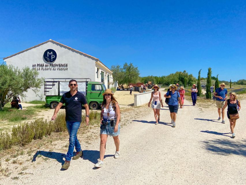 Lavender Field & Distillery Tour between Nimes & Arles - Plant Smelling and Identification: How You Learn Without Overthinking