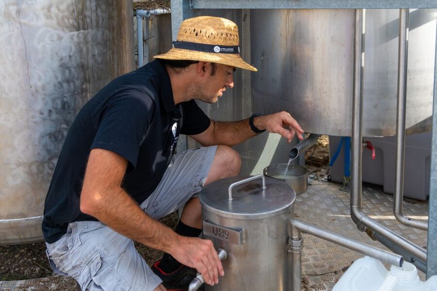 Lavender Field & Distillery Tour between Nimes & Arles - Perfume Bar: Match Scents to Properties