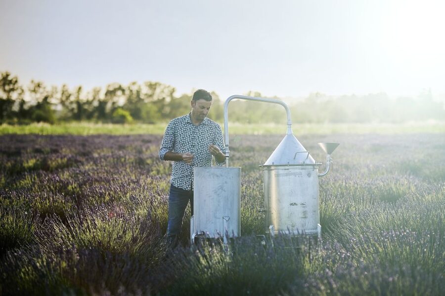 Lavender Field & Distillery Tour between Nimes & Arles - What to Bring and What Makes the Experience Comfortable