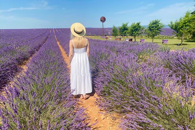 Lavender in Luberon Small Group Half-Day Trip - Roussillon: red ochre village time you can actually enjoy