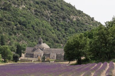 Lavender in Luberon Small Group Half-Day Trip