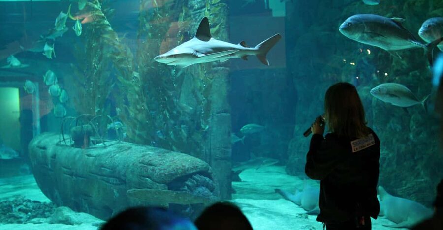 Le Grau-du-Roi: Seaquarium Skip-the-Line Entrance Ticket - What you are really paying for: science culture and conservation messaging