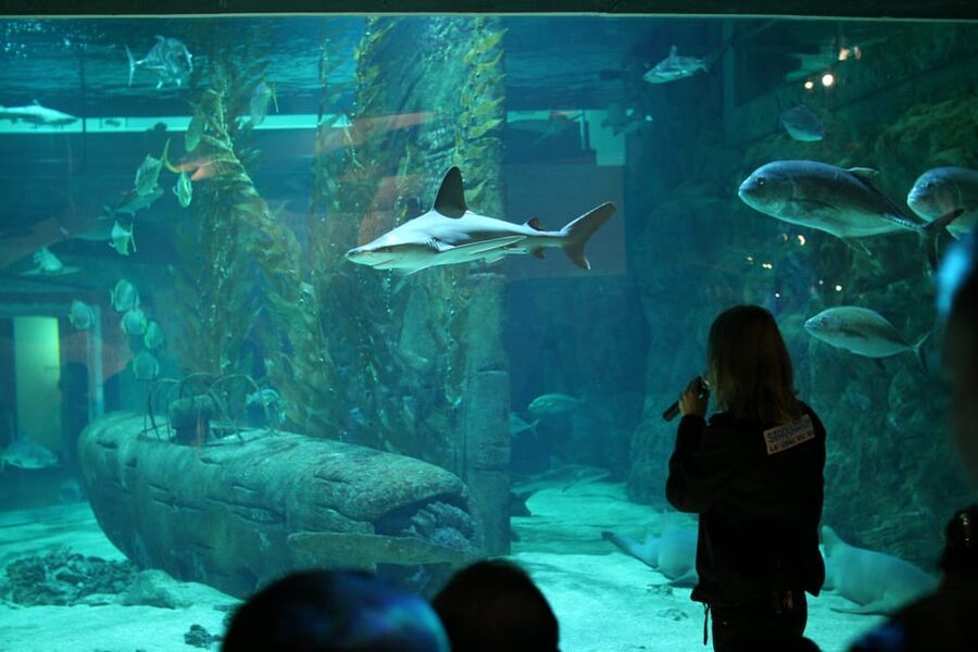 Le Grau-du-Roi: Seaquarium Skip-the-Line Entrance Ticket - Shark center with 30 species: plan this as your main event