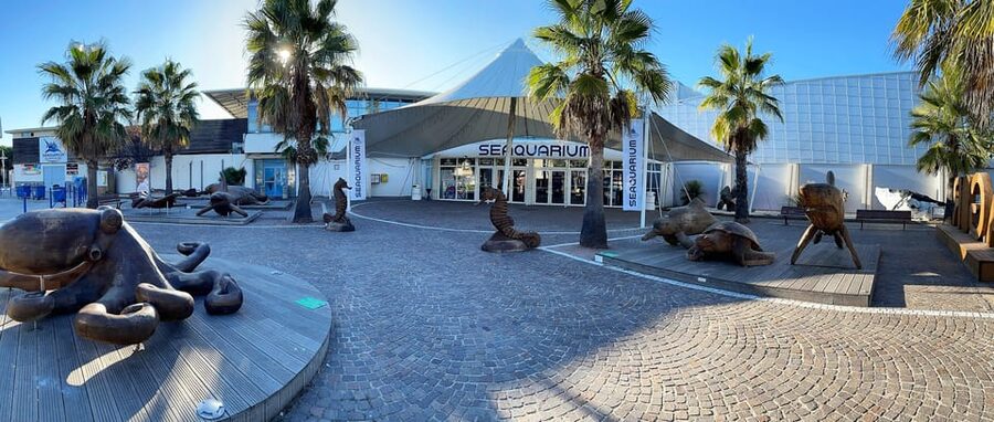 Le Grau-du-Roi: Seaquarium Skip-the-Line Entrance Ticket - Seals and sea lions enclosure: the crowd pleaser for a reason