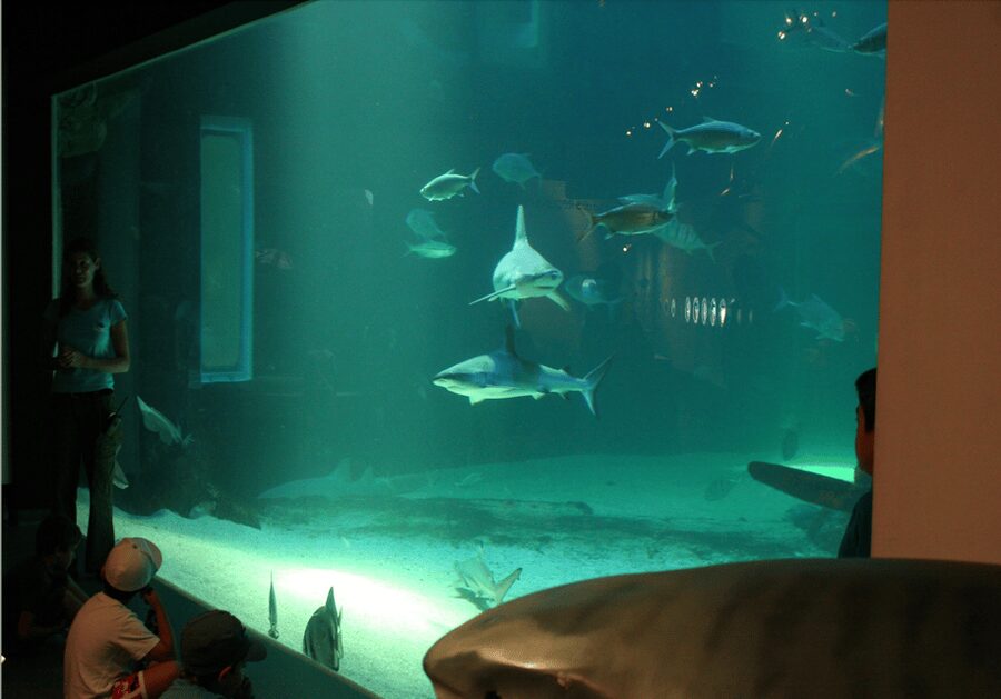 Le Grau-du-Roi: Seaquarium Skip-the-Line Entrance Ticket - Virtual reality beneath the waves: best used when you want a break